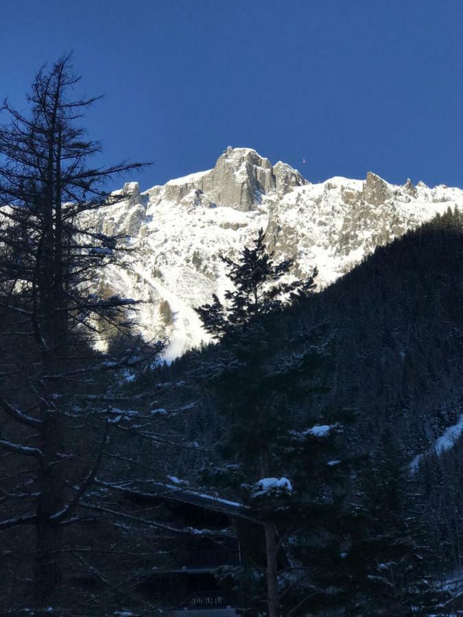 Brevent - Meleze Daire Chamonix Dış mekan fotoğraf