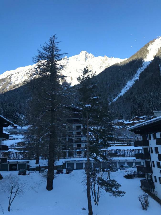 Brevent - Meleze Daire Chamonix Dış mekan fotoğraf
