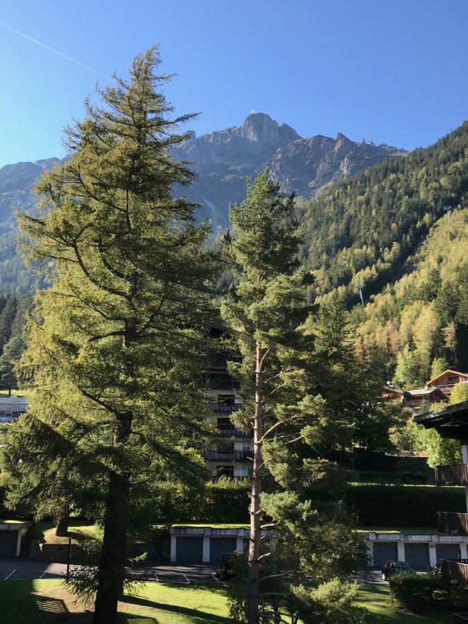 Brevent - Meleze Daire Chamonix Dış mekan fotoğraf